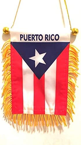 Silverlines Puerto Ri - Banner cu steagul agățat pentru ferestre. cu cupa de aspirație