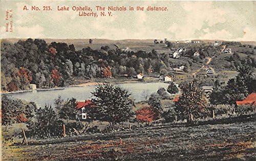 Lacul Ophelia Nichols în distanța Liberty, New York, carte poștală