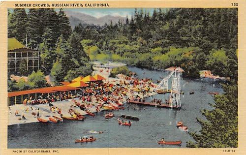 Russian River, California Postcard