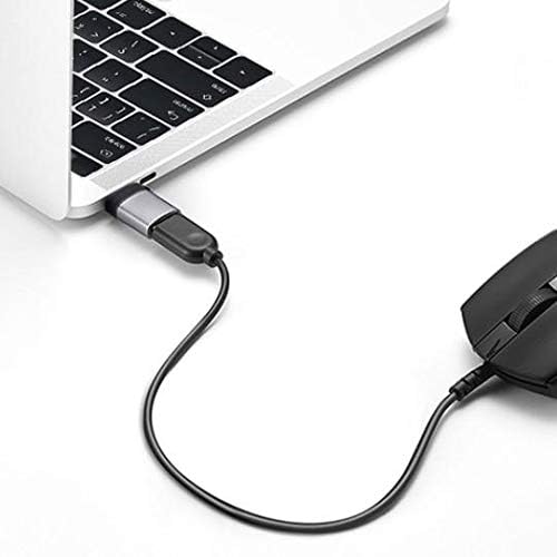 Cablu boxwave compatibil cu LG Ton Free FN4 - USB -C la un portchanger, USB Type -C OTG USB Portabil Keychain pentru LG Tone