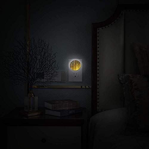 LED Lumina de noapte cu model cu dungi verticale cu un fragment de antic retro Mandala Light Light Plug în perete cu pachet