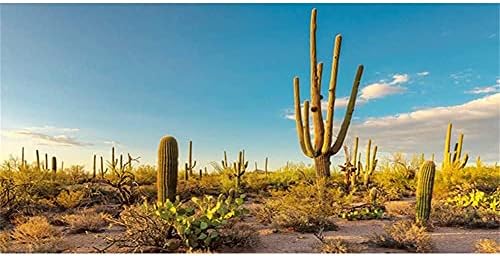 Awert Sun și Desert Terrarium fundal Blue Sky Oasis Cactus Reptile Habitat Fundal 72x18 inci Fundal poliester