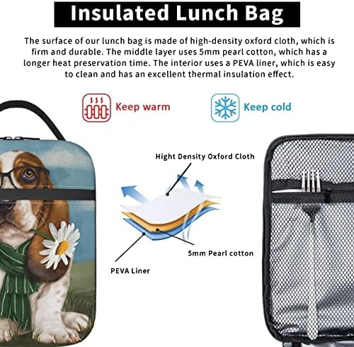 Majoug Basset Hound Dog Geant/Lunch Box/Lunch Tote/Picnic Bags Organizator de călătorii Insulate Cooler Cooler